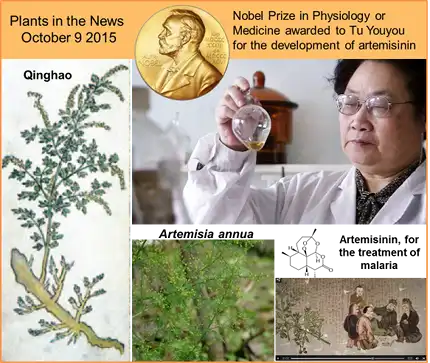 Tu Youyou (kineska medicinska naučnica)